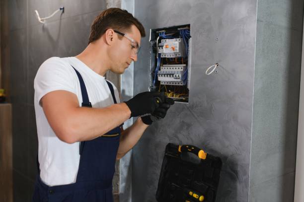 Best Electric Panel Repair  in Sunland Park, NM